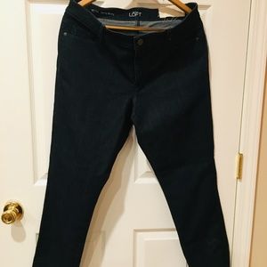 tags on LOFT Curvy Skinny 14/32